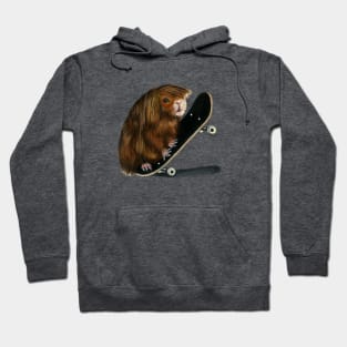 Skateboarding Guinea Pig Hoodie